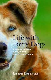 Life With Forty Dogs